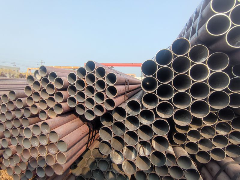 IMG_20230401_153224.jpg IMG_20230401_153224.jpg